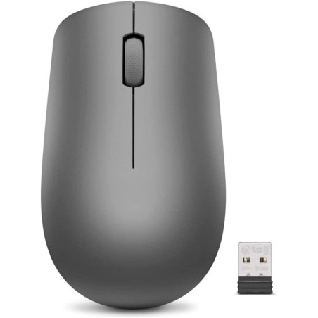 MOUSE Lenovo  USB OPTICAL WRL 530/GRAPHITE GY50Z49089 LENOVO, "GY50Z49089 (timbru verde 0.18 lei)