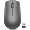 MOUSE Lenovo  USB OPTICAL WRL 530/GRAPHITE GY50Z49089 LENOVO, "GY50Z49089 (timbru verde 0.18 lei)