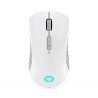 MOUSE Lenovo  USB OPTICAL WRL LEGION/M600 GY51C96033 LENOVO, "GY51C96033 (timbru verde 0.18 lei)