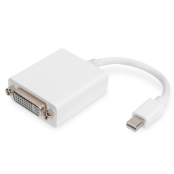 DIGITUS adaptor cable mini displayPort St - DVI-D Bu 24+5 "AK-340406-001-W"  (timbru verde 0.08 lei)