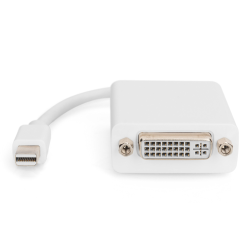 DIGITUS adaptor cable mini displayPort St - DVI-D Bu 24+5 "AK-340406-001-W"  (timbru verde 0.08 lei)