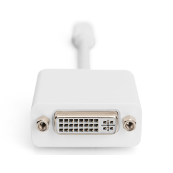 DIGITUS adaptor cable mini displayPort St - DVI-D Bu 24+5 "AK-340406-001-W"  (timbru verde 0.08 lei)