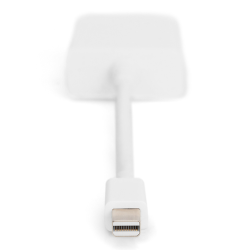 DIGITUS adaptor cable mini displayPort St - DVI-D Bu 24+5 "AK-340406-001-W"  (timbru verde 0.08 lei)