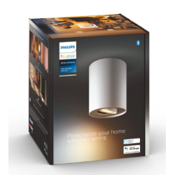 Pillar Hue ext. spot single spot white 1, "000008719514338500" (timbru verde 2.00 lei)
