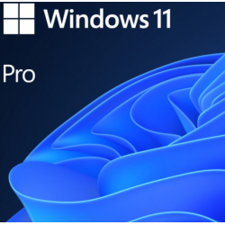 SW WIN PRO N 11 64-BIT ALL LNG PK LIC ONLINE DWNLD NR MS "FWC-03370"