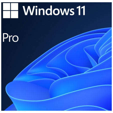 SW WIN PRO N 11 64-BIT ALL LNG PK LIC ONLINE DWNLD NR MS "FWC-03370"